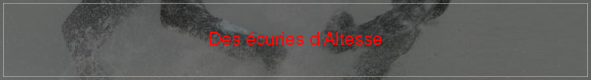 Des écuries d'Altesse